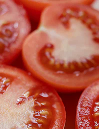 토마토
