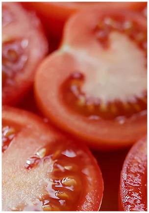 토마토